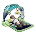 Bright Starts Light Up Lagoon Activity Gym