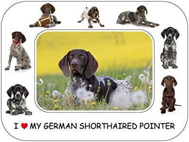 FRIDGE MAGNET German Shorthaired Pointer Gift - Beautiful 8" x 6" Magnetic Photo Frame/Flexible