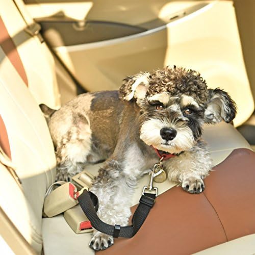 XHD-Pet clothing Pet Supplies Dog Car Travel Seat Belt Lefdy Strong Pet/Dog Lead Restraint Harness ( Size : L )