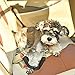 Produktbild XUJW-PET Hund Auto Reise Seat Gürtel Lefdy Starke Pet / Dog Lead Restraint Harness ( Size : L )