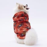Pettrend Spider K&ouml;pek Mont K&ouml;pek Kıyafeti K&ouml;pek Yağmurluğu(K&uuml;c&uuml;k- B&uuml;y&uuml;k Irklar) 6XL