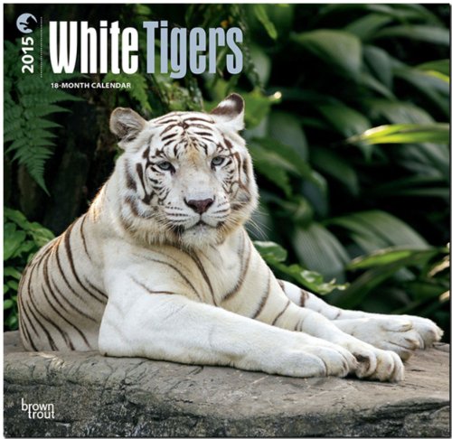 White Tigers 2015 - Weiße Tiger: Original BrownTrout-Kalender [Mehrsprachig] [Kalender]