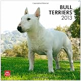 Bull Terriers 2013 - Original BrownTrout-Kalender by 