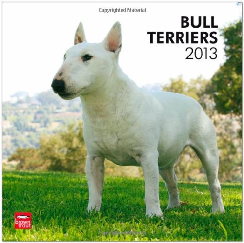 Bull Terriers 2013 - Original BrownTrout-Kalender