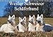 Weißer Schweizer Schäferhund (Wandkalender 2019 DIN A4 quer): Auf 13 wunderschönen Fotos mit einer faszinierenden Hunderasse durch die Jahreszeiten (Monatskalender, 14 Seiten ) (CALVENDO Tiere) by