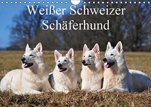 Weißer Schweizer Schäferhund (Wandkalender 2019 DIN A4 quer): Auf 13 wunderschönen Fotos mit einer faszinierenden Hunderasse durch die Jahreszeiten (Monatskalender, 14 Seiten ) (CALVENDO Tiere)