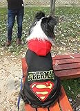 Tamaño: 7XL, 8XL, 9XL HUAIX petsuppliesmisc Ropa para Perros Grandes Ropa para Perros Mascotas Ropa para Mascotas Superman suéter Perro Grande (Color : Black, Size : 8XL)