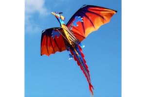 WANKD Kinderdrachen Bunt 3D Kinder Drachen Kite 120 * 140cm Long Tail lebensechte Dinosaurier Kite Spielzeug 100m Einzellinie mit Schwanz Outdoor Erwachsene Kinder Aktivitäten Spiele Spielzeug