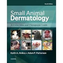 Buy Small Animal Dermatology A Color Atlas And Therapeutic Guide