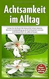 Achtsamkeit im Alltag: Lernen Sie die Kunst des bewussten Lebens kennen Wie Sie Stressbewältigung durch Achtsamkeit erlernen, und Gelassenheit im Leben erlangen by Tim Pfeiffer
