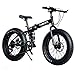 Produktbild QXMEI Snow Bike Faltrad Radfahren 21 Speed 26 Zoll/Double Disc Brake Springer Gabel Aluminium Alloy Frame Hinten,Black-OneSize