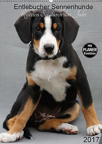 Entlebucher Sennenhunde begleiten Sie durch das Jahr (Wandkalender 2017 DIN A2 hoch): Die Entlebucher Sennenhunde Emma und Luna (Planer, 14 Seiten ) (CALVENDO Tiere)