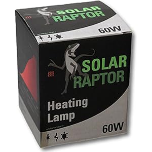 SolarRaptor Heating Lamp