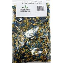 Résine Religieuse Encens En Grains 100G Saint Joseph[J2664