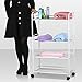 tinxs® Beauty Salon 3/4 Shelf Mini Side Trolley Therapy Dentist Hairdresser ( 4 Shelf)
