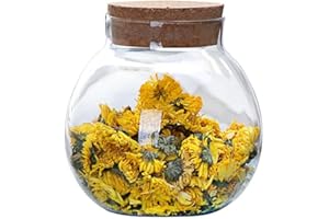 VASANA Tarro de vidrio transparente redondo hermético de 500 ml con tapas de corcho, contenedor de té, jarrón, botella ecológica, recipientes de almacenamiento de alimentos para el hogar y la cocina