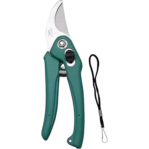 RERANT Hand Pruner Cutter - 1 Pc, Heavy Duty Gardening Tools Grass Cutter, Plant Cutter for Home Garden, Wood Branch Trimmer, Garden Tools Grass Cutting Accessories (Steel Blades, Assorted)