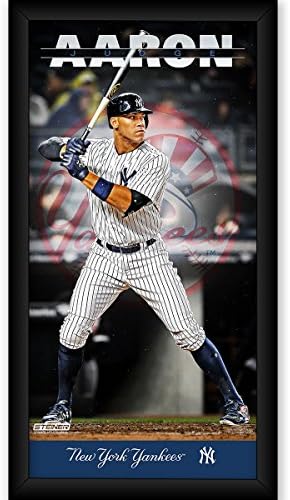 MLB New York Yankees Aaron Judge 10 x 20 Player Profile Wall Banner
