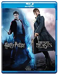 Wizarding World 10 Movies Collection: Harry Potter 1 to 8 + Fantastic Beasts 1 & 2 (10-Disc Box Set)