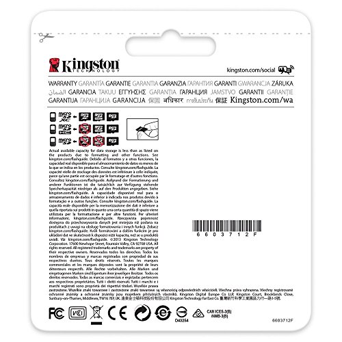 Kingston SDC10G2 32GB - Tarjeta microSD DE 32 GB