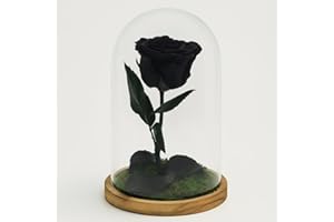 Mundo Eterno Garden Center Shop Rosa Preservada Negra en Cúpula de Cristal | Rosa Eterna Natural | Regalo Original | 22x12 cm