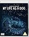 My Life As A Dog (2 Blu-Ray) [Edizione: Regno Unito] [Import italien]
