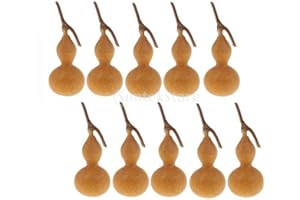 kowaku 10 Piezas Pequeñas Calabazas Naturales Manualidades de Decoración Rústica para Manualidades de