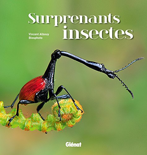 Télécharger Surprenants insectes Livre eBook France