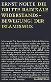 Image de Die dritte radikale Widerstandsbewegung: der Islamismus