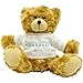 Produktbild There is no - Benjamin Disraeli - Plush Teddy Bear