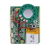 Accesorio de regalo de bricolaje --- Aplicable a la producción de regalos creativos, tales como tarjetas de bricolaje, cajas de regalo, cajas de pasteles, jardineras, cajas de bombones, juguetes de bricolaje y más, este módulo de sonido de voz usb es también una forma ideal para expresar sus sentimientos a sus amigos, amante y familiares