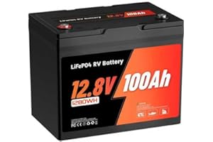 RVLITHTIME Batterie LiFePO4, Batterie Lithium 12V 100Ah 9.5Kg Group 24 Grade A, 98% d'Efficacité, 16000 Cycles, BMS 100A, IP65, Support Alliage, pour Camping-Car, Solaire, Système Off-Grid