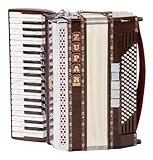 Alpe Serie, 38 Diskanttasten, 4-chörig, 9+1 Register, 96 Bassknöpfe, 4-chörig, 3+1 Register