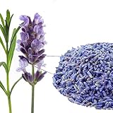 El té de hierbas puede elevar el espíritu, eliminar el calor y desintoxicar, evacuar el viento y el calor, aliviar la fatiga, ayudar a la digestión, antiinflamatorio y bactericida, prevenir enfermedades infecciosas intestinales, prevenir el insolación, calmar la sed y quemar grasa.