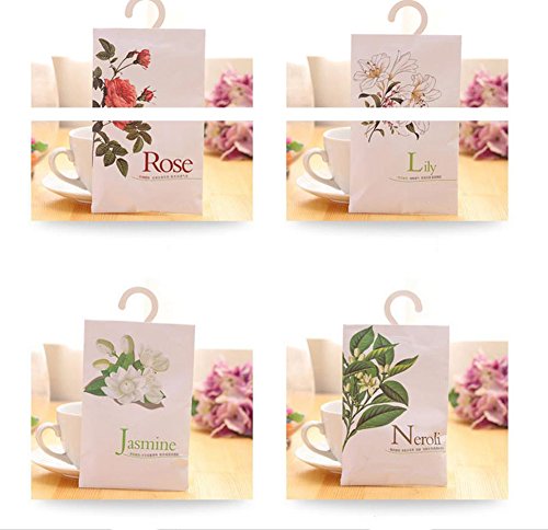 Dosige Sachets Tragbar Kleidung Duftende Duftsäckchen Taschen Set mit Kleiderbügel Geeignet für Closet Zimmer Kleiderschrank Badezimmer Cars Wäschekorb 12 Packungen - 6