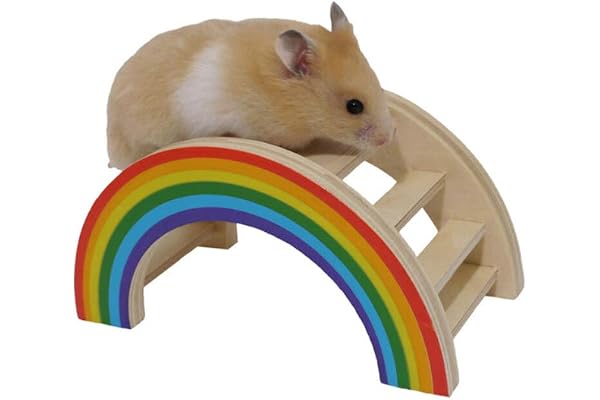 Rosewood Boredom Breaker Pont Arc En Ciel et Jouet d'Activité pour petits animaux , Dimensions 8 x 7 x 14 cm