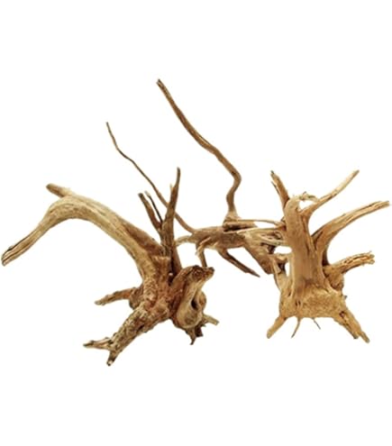 Amtra HOLZ MYSTIC WOOD - Olibetta