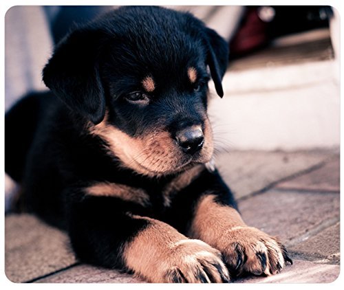 Preisvergleich Produktbild Rottweiler Puppy Customized, Gaming Mouse Pad Mouse Mat