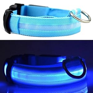 NEO+ Mejor Perro Visibilidad y Seguridad – USB Batería LED Perro Seguridad Collar – LED de Pilas – se Conecta a Dispositivos – no – Gran diversión – tu Perro es más Visible y Seguro (TAMAÑO Azul XL)