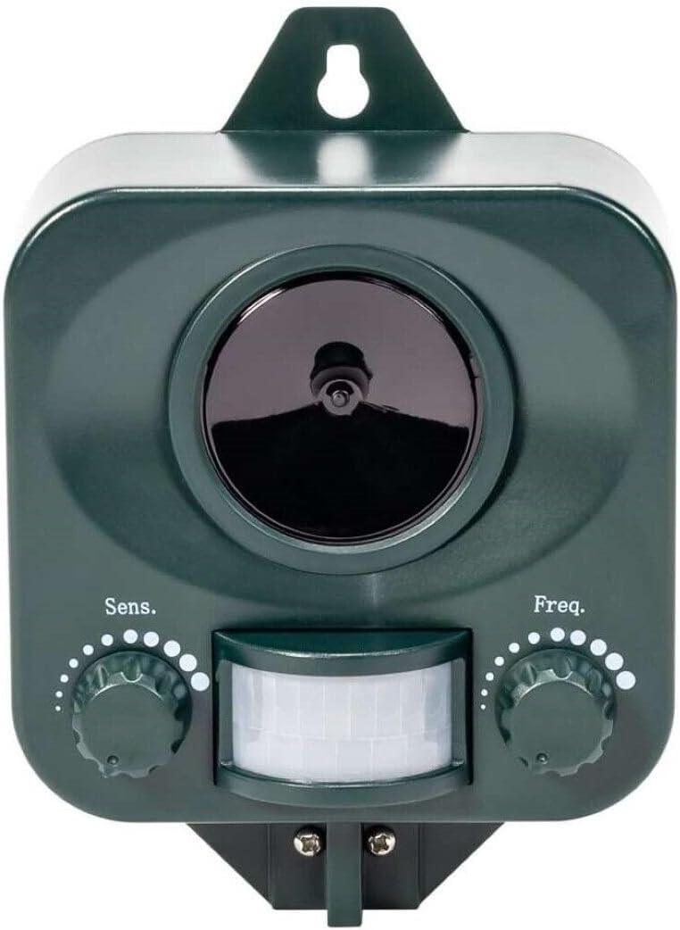 Vue 8