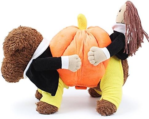 fiE FIT INTO EVERYWAY Creative Funny Pet Costume Dog Warm Clothes with Lovely Dummy Puppy Holding Pumpkin,Size M