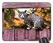 Produktbild orange wet funny cat cute fence animal pink Mouse Pad, Mousepad (Cats Mouse Pad)