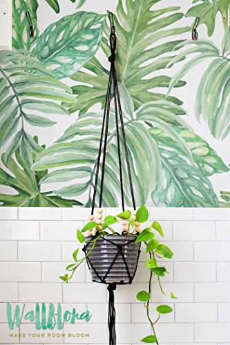 Papel pintado, diseño de hojas de monstera, extraíble, hojas de papel pintado, adhesivo decorativo para pared, 53 Cm wide by 243 Cm Tall - 2