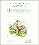 Image de Atlas Ilustrado De Anatomia (Tapa Dura)