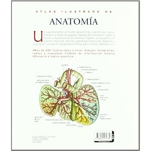 Atlas Ilustrado De Anatomia (Tapa Dura)