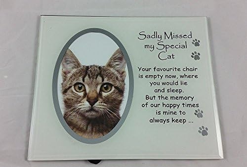DAVID FISCHOFF Cat memorial photo frame sadly missed special cat poem memory love pet photo stand windowsill mantlepiece 10cm x 15cm photo