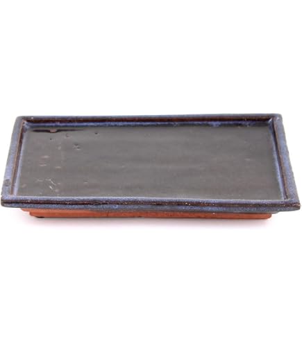 Bonsai - Untersetzer eckig 16 x 12 cm, blau 53330: Amazon.de: Garten