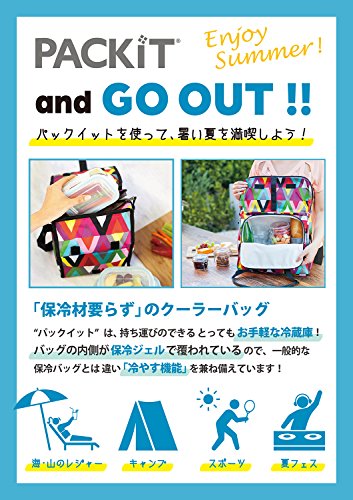 PackIt PKT-PC-STR Lunch-Kühltasche Gray Stripe - 7