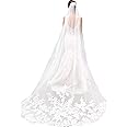 Single Layer Wedding Veil Lianshi Bridal Veil Lace Embroidery Bride Supplies 3m