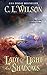 Produktbild Lady of Light and Shadows (Tairen Soul, Band 2)